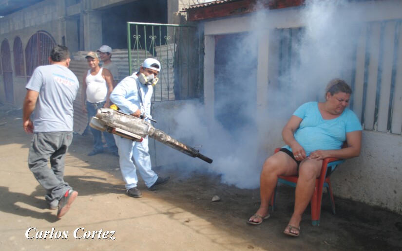 Fumigar2